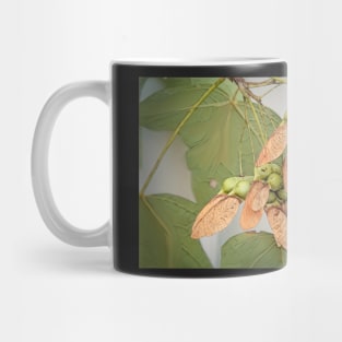 Winging Sugar Maple Seeds Mug